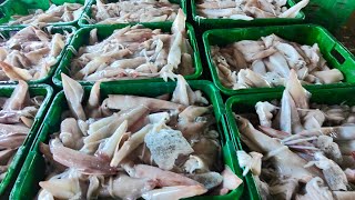 Download lagu limpahan sotong dan pendaratan nelayan pukat jerut TRF1440 mp3