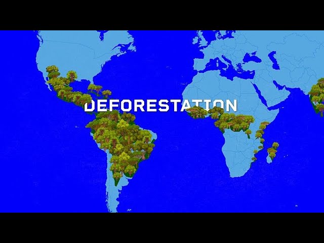 EU DECODED: Deforestation law’s trade-offs