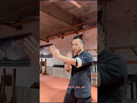Wing chun self defense techniques - 37 #wingchun #kungfu #martialarts #boxing #foryou #shorts #fyp