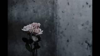 Sophie Zelmani - Precious Burden (Lyrics)