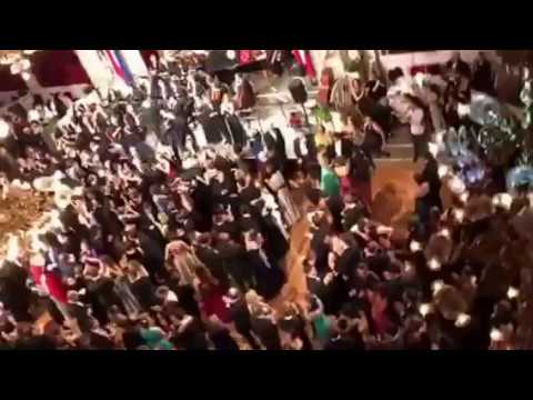 Estherartnewsletter.com VISIT Wiener Ball der Wissenschaften/ Science Ball