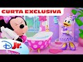Minnie Toons Hotel De Animais Ep 6 Cachorrinha Mimada