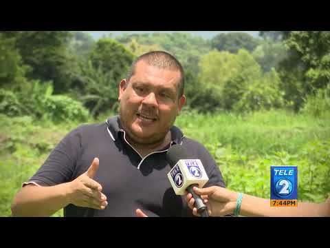 Cultivos de berro en Chalchuapa