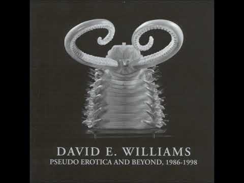 David E. Williams - No Fun Anymore