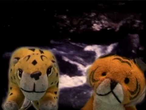 Domotic - Kitty Song