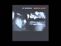 Kip Hanrahan - Night Cumbia - from the album Beautiful Scars