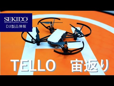 シャトー デュ テロー