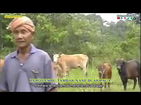Cikgu Naim - Lembu | Lirik & Subtitle