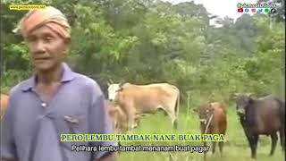 Download lagu Cikgu Naim - Lembu | Lirik & Subtitle mp3