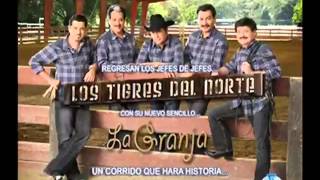 08 Minita de Oro ¬ Los Tigres Del Norte 1)