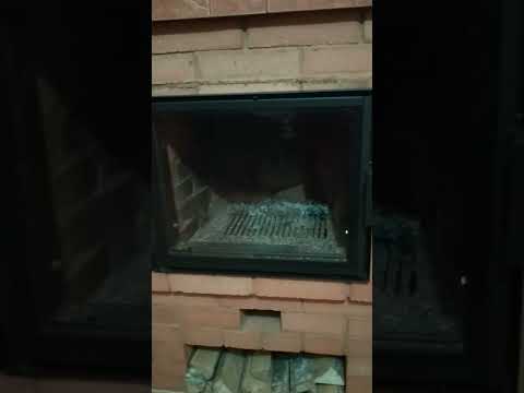 Видео о дверце камина 4
