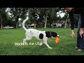 West Paw Design Bumi Tug Toy