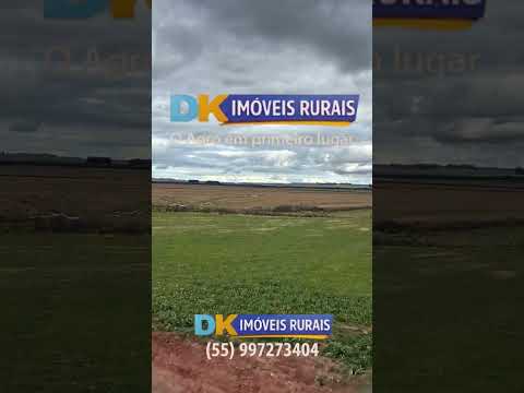 🚜🌱 1.400 HECTARES DE OPORTUNIDADE PARA GRANDES PRODUTORES!