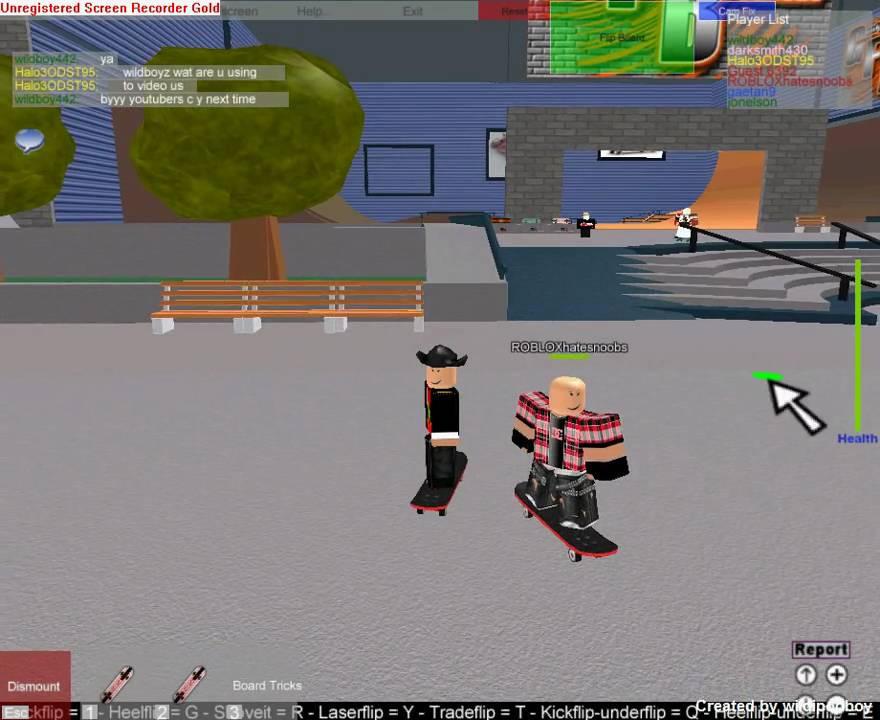 roblox skatepark (HD)