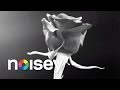 Jaymes Young - "Dark Star" (Official Video ...