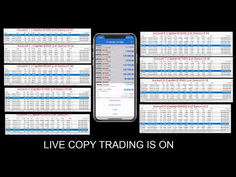 31.7.19 Forextrade1 - Copy Trading 2nd Live Streaming Profit Rise to $2560k From $1190k Video