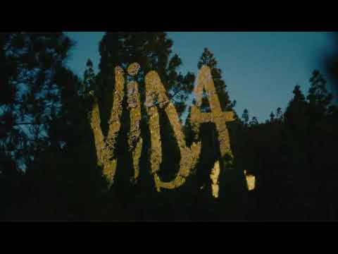 FINALES LIGA CABILDO BASE | CADETES | UNIÓN DOCTORAL - UNIÓN GÁLDAR