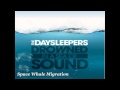 The Daysleepers - Drowned In A Sea Of Sound ...