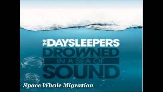 The Daysleepers - Drowned In A Sea Of Sound (Full Album)