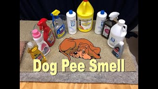 Dog Pee Smell Removal: Simple & Effective