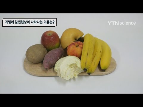 , title : '과일에 갈변현상이 나타나는 이유는? / YTN 사이언스'