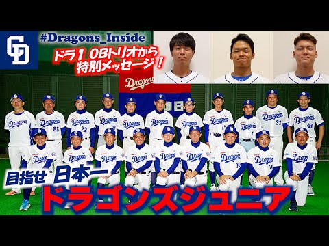 youtube動画