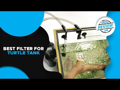 ▶️Filter for Turtle Tank: Top 5 Best Filter for Turtle Tank For 2021 - [ Buying Guide ]