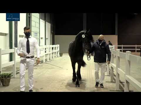 KFPS Eerste Bezichtiging na- en herkeuring HK2021