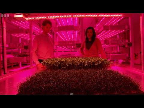 Growing Plants w/ LED Technology | Bang Goes The Theory | Earth Science
