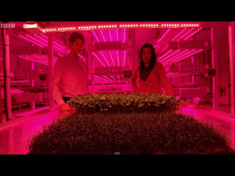 Growing Plants W/ Led Technology/ Bang Goes The Theory/ Brit Lab