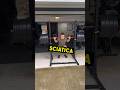 My Story Of Overcoming A Disc Herniation Sciatica And Chronic Pain Backpain Shorts Sciatica