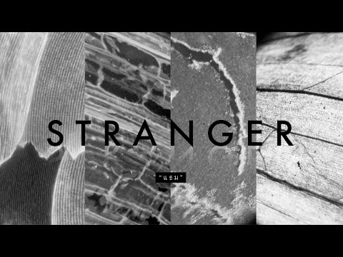Stoondio - Stranger (แธม) Audio Lyrics