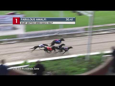 2021 BGBF BRITISH OAKS - HEAT 1 - T FABULOUS AMALFI