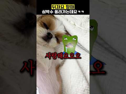 뒤져요 할때 심박수 올라가는데요ㅋㅋ