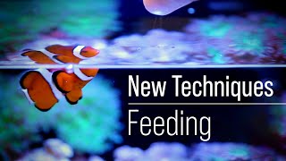 Phosphate & Nitrate Control with Feeding Techniques?
