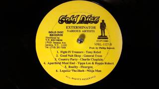 Tony Rebel - Fight Fi Treasure - Xterminator LP 1990 (Party Time Riddim)
