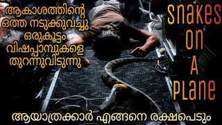 Snakes On A Plane full movie malayalam explanation |@Movie Steller |Movie Explained In Malayalam