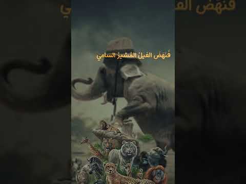 أحمد شوقي /أسامة الواعظ