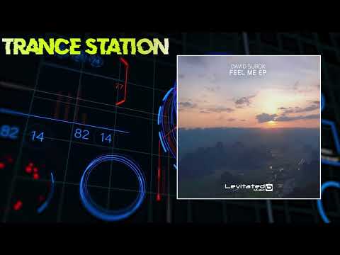 David Surok - Feel Me (Extended Mix) [LEVITATED MUSIC]