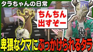 無害そうな熊からとんでもない被害を受けて阿鼻叫喚なタラちゃん【ふぁんきぃ・ころっけ・ギャラクシーマン・柚乃いずみ・王城リレイ・鴨葱吸葉】 #ストグラ