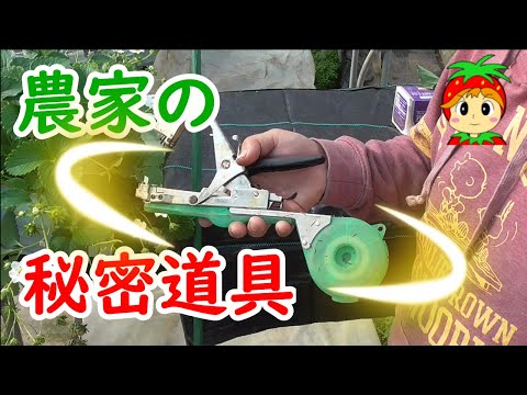 シードテープとシードディスクを正しく使用する トピックス