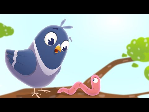 Piosenki o zwierzątkach | Składanka piosenek | Kidimax