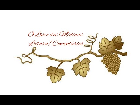 O Livro dos Médiuns - Cap. XXIV - Item 267 - Sub itens 10° ao 16°