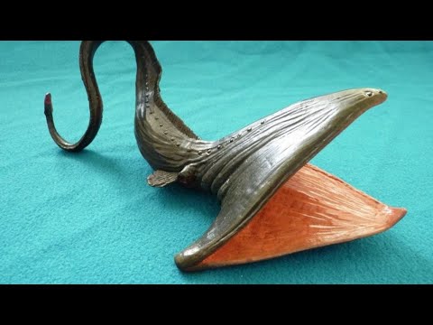 Unbelievable pelican eel Fish Information|