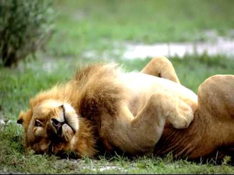 Nemacki jezik.Treca lekcija.(3)