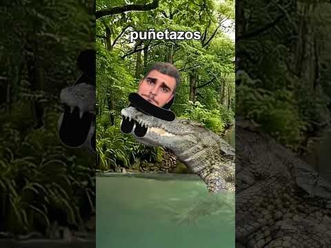 Personas que escaparon 😨