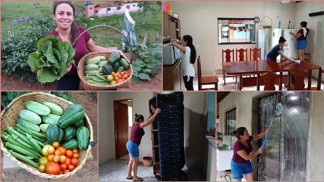 FARTURA NA COLHEITA+FAXINA COMPLETA NA CASA/DEIXANDO LIMPINHO PRA SEMANA🧽VIDA NO CAMPO🌄