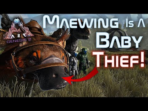ARK Genesis 2 Maewing is a Baby Thief!