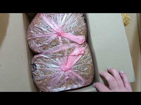 Табак Италия премиум-средне легк.И Вирджиния ГОЛД (Индонезия) обзор табака 2025