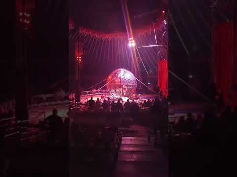 American circus, motory w kuli(1)